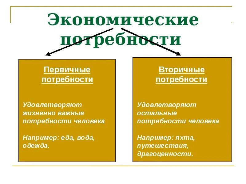 Структура экономических потребностей. Первичные и вторичные экономические потребности. Первичные и вторичные потребности в экономике. Первичные потребности это в экономике. Материальные потребности в экономике