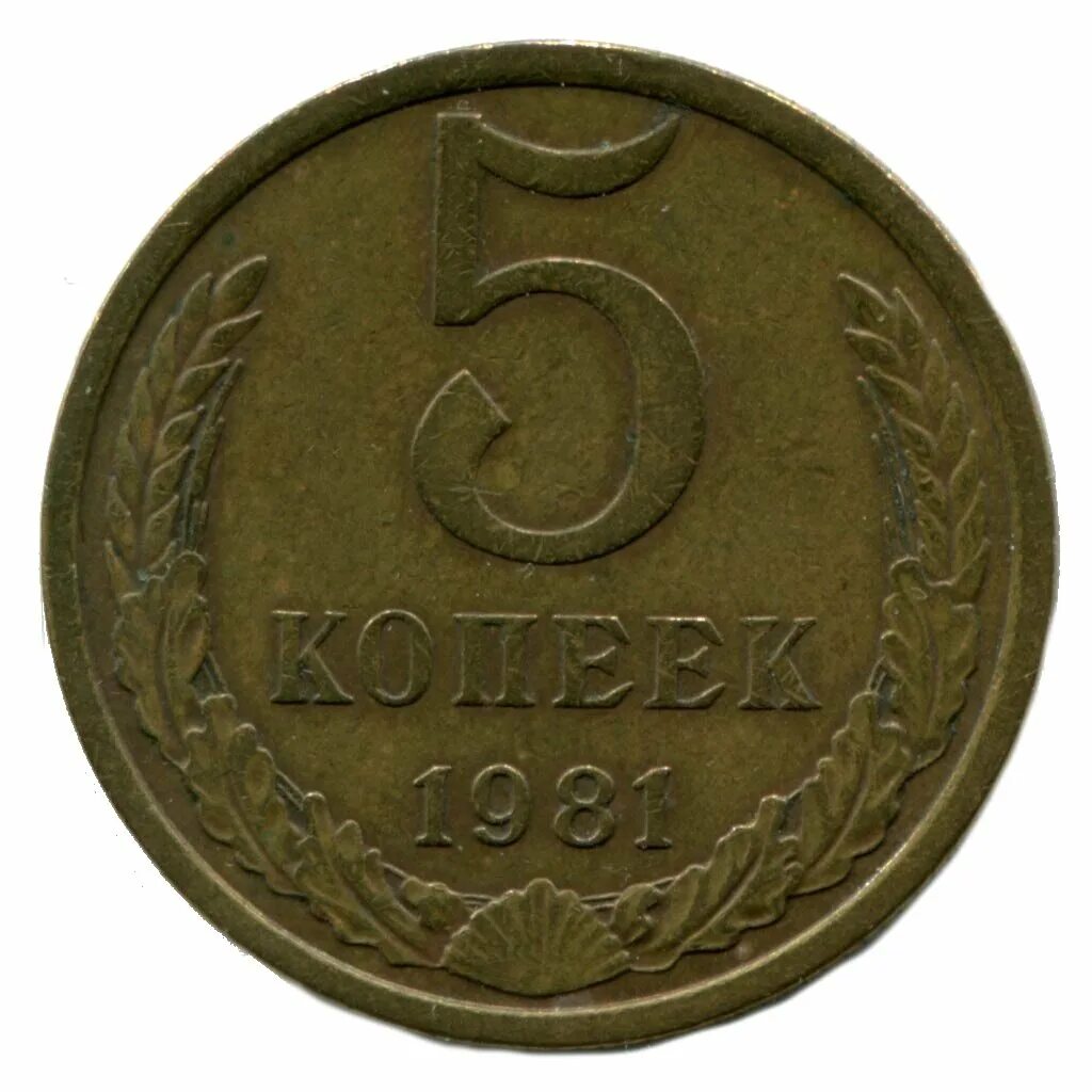 Стоить 5. Стоить 5