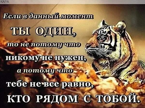Не заводи друзей