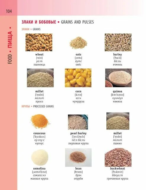 Наименование сухофруктов. Grains на английском. Крупа на английском. Cereals на английском. Grains in english.