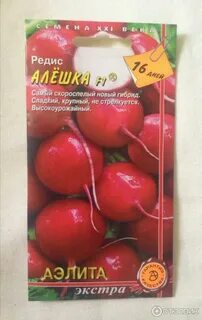 Сорт томатов алешка