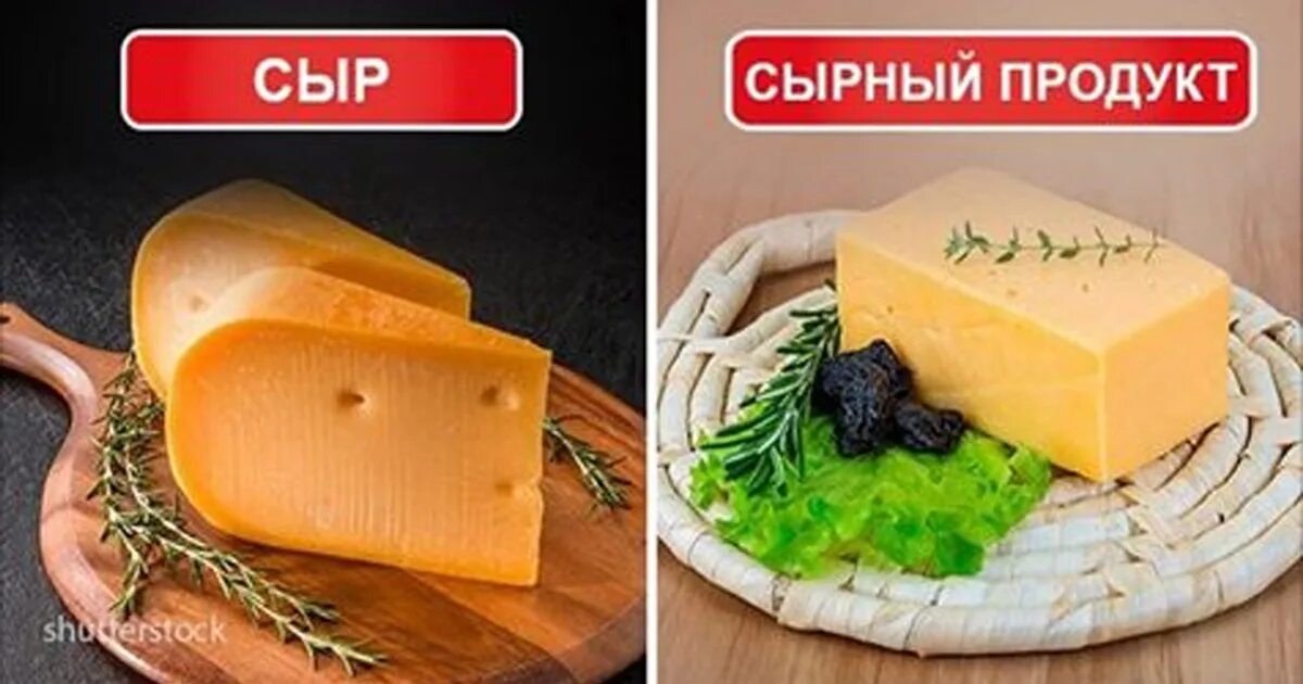 Сыр и сырный продукт. Фальсификат сыр. Поддельный сыр. Фальшивый сыр.