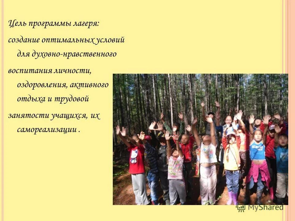 Основная цель создания детских оздоровительных лагерей. Цель программы летнего оздоровительного лагеря. Направления программ в лагере. Создание плана лагеря. Программа лагеря цель.