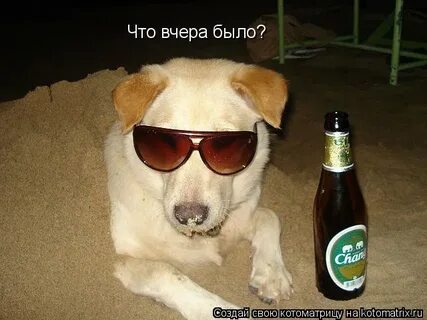 А что это вчера было