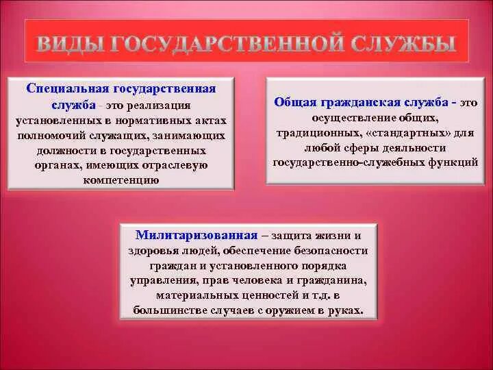 Гражданская и милитаризованная государственная служба. Государственная служба план. Виды негосударственной службы. Особенности милитаризованной службы. Реализующие эти службы