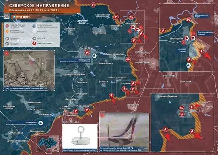 Кучино 27.05 2024