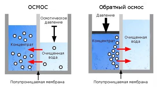 Картинки ЗАКОН ОСМОСА