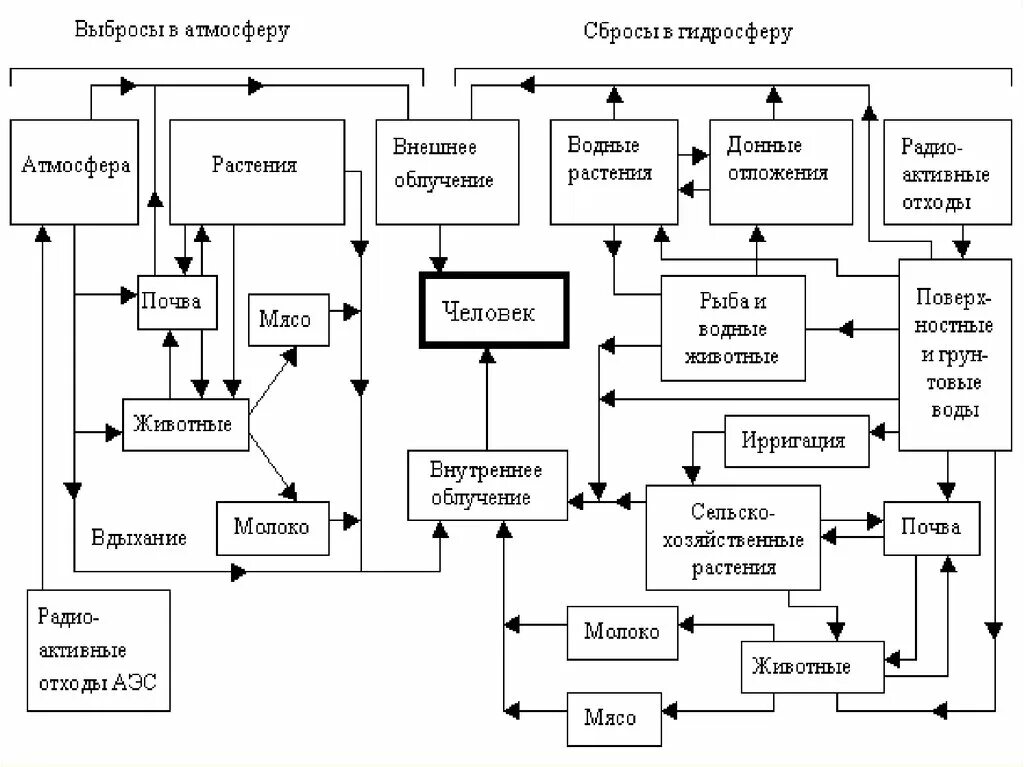 Пути поступления радионуклидов. Схема миграции радионуклидов. схема миграции радионуклидов по биологическим цепям. схема миграции радиоактивных веществ. источники рдиайионноговоздействия.