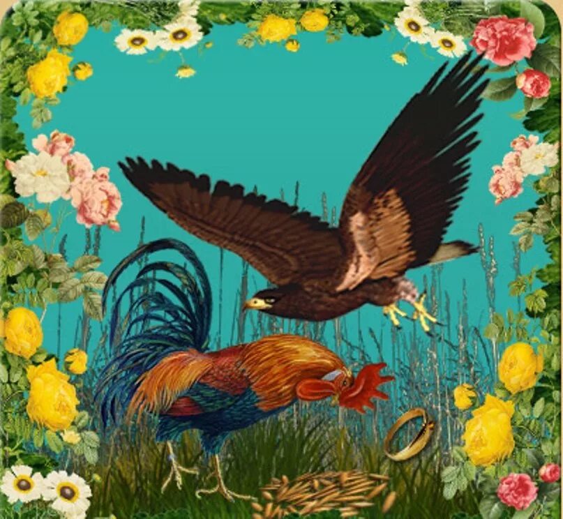 Петух и ястреб. Орел и петух. Ястреб и курица. Ястреб и петух башкирская сказка. Ястреб и петух башкирская сказка.
