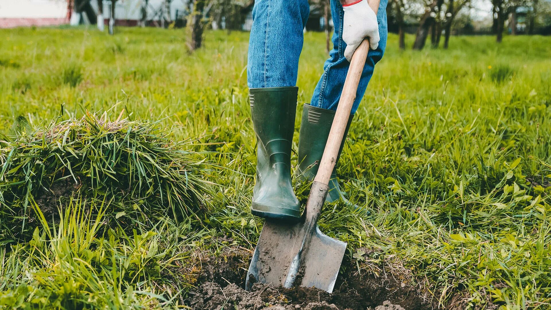 Копается ли земля. Лопата для огорода. Копать лопатой. Копать землю лопатой. Перекопка участка.