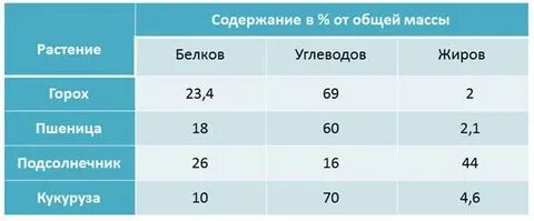В семенах каких растений содержится большое