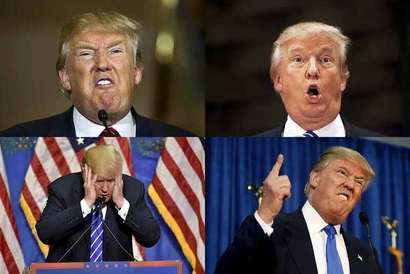 Дата выборов трампа