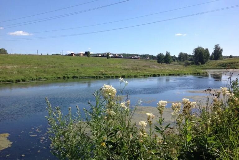 Поселок удача серпухов. Лес удач коттеджный поселок. Поселок озерный заокский район. Лес удач. Оценка соток фото.