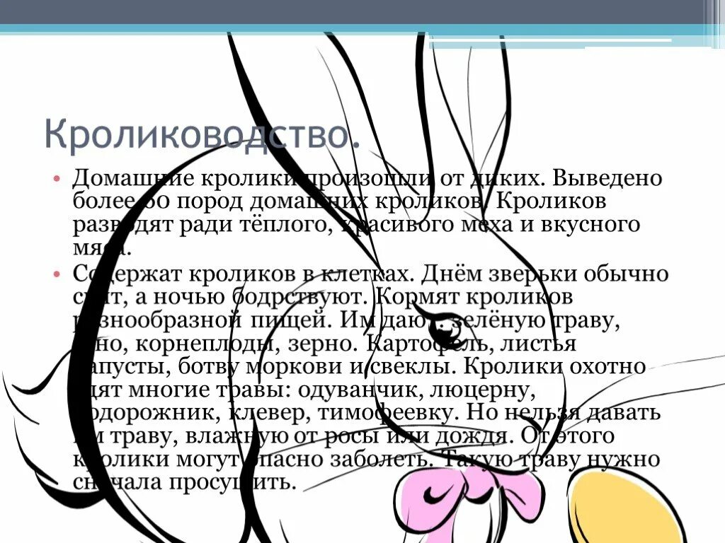 Проект по окружающему миру 4 класс кролиководство Включи навык зайка найдено 77 картинок