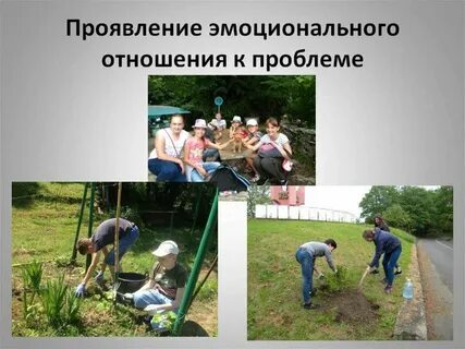 Работа экологическое просвещение