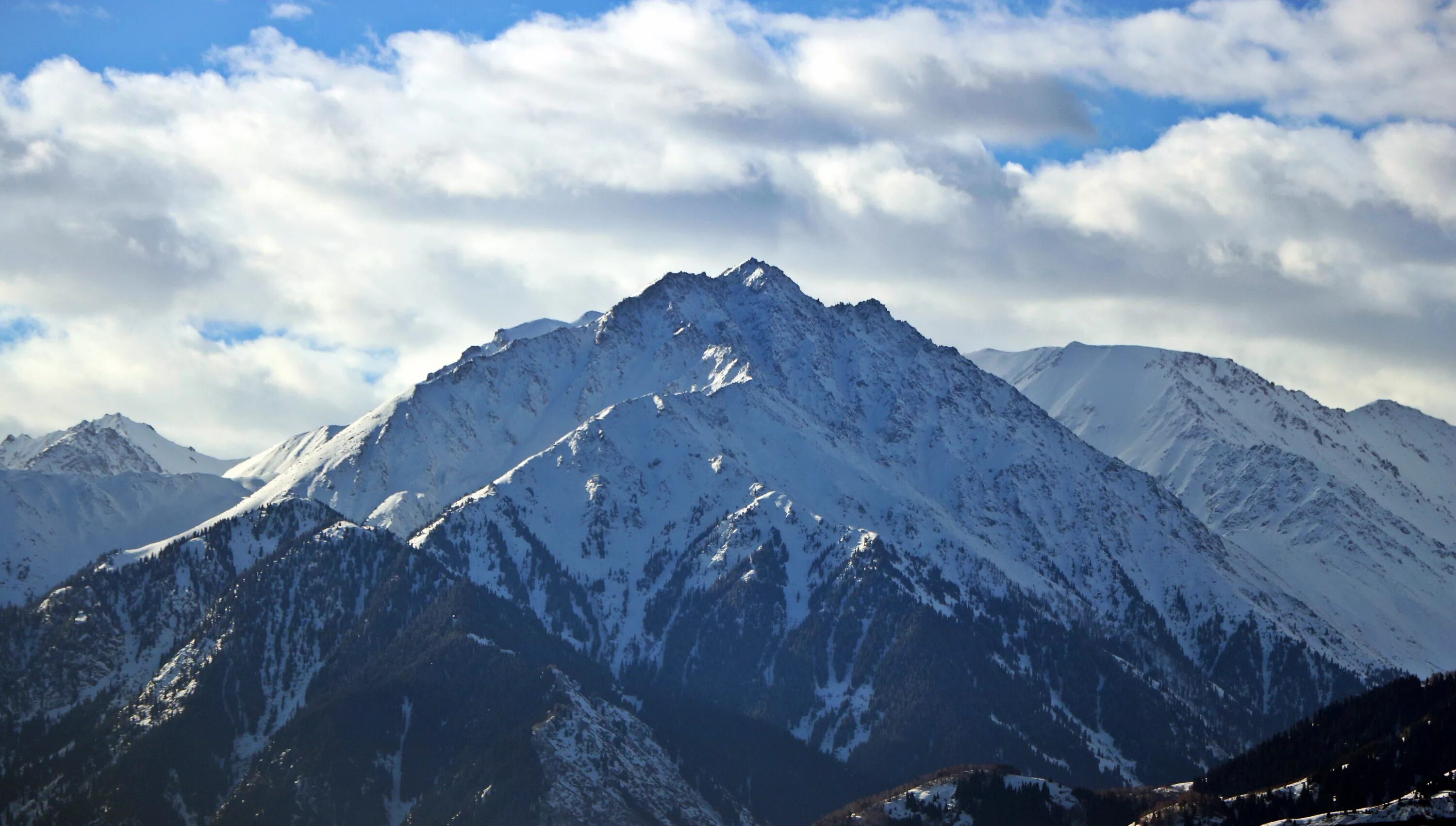 Білім шыңы. Алма Тау. Қулық фото.