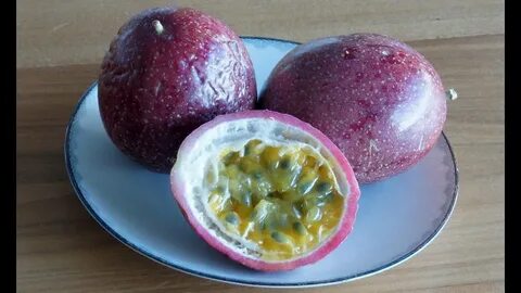 Северная маракуйя