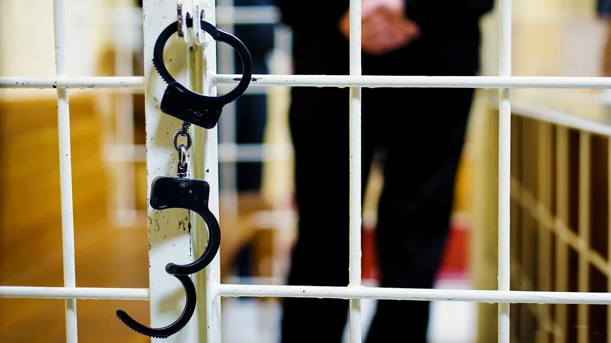 Под стражу в уголовном процессе. Клетка в суде. под стражей. заключили под стражу. обвиняемый в суде.