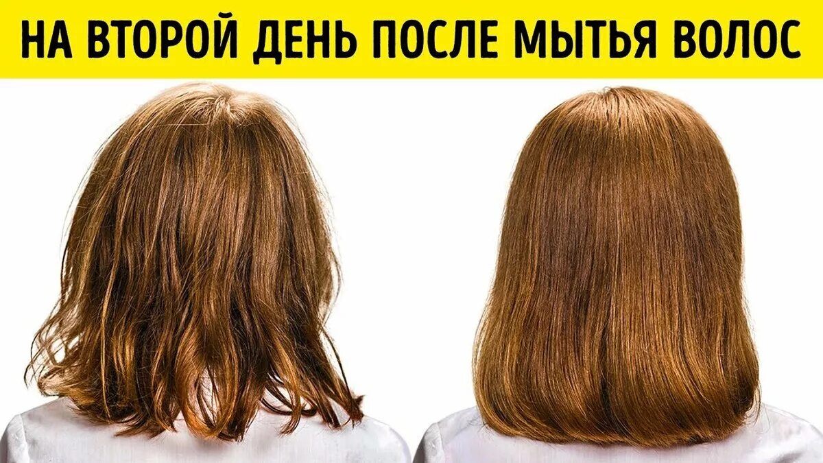 Чаще всего женщины закрывали волосы после чего. Сильно жирнятся волосы. сальные и чистые волосы. жирные и чистые волосы.