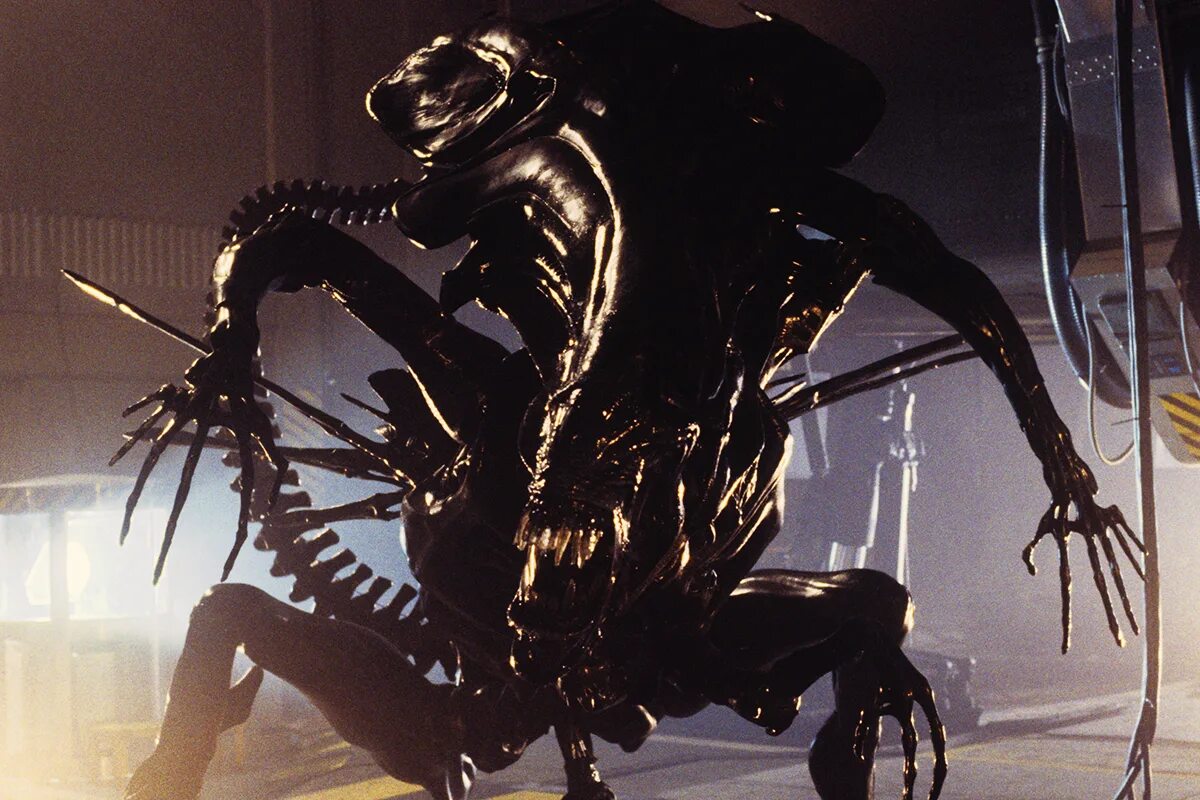 Чужой человек егэ. Алиенс Квин. Aliens 1986.