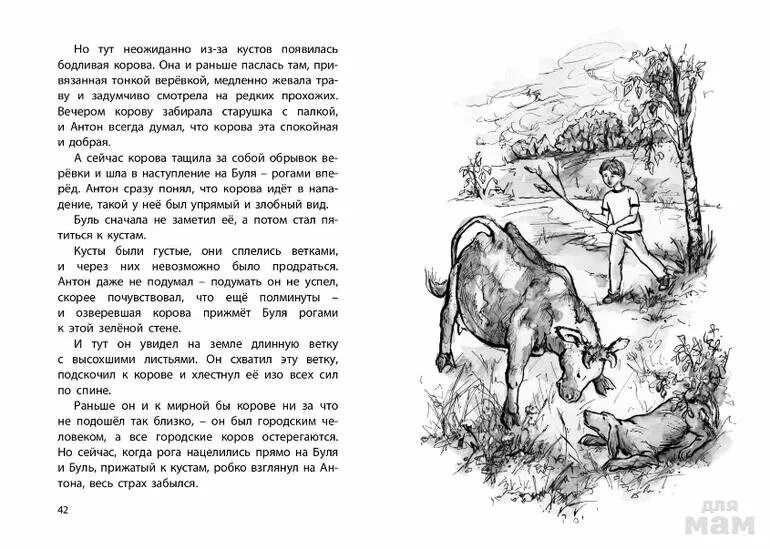 Рассказ корова читать. Произведение корова платонова. Рассказ платонова корова. "корова". Ушинский рассказ бодливая корова.