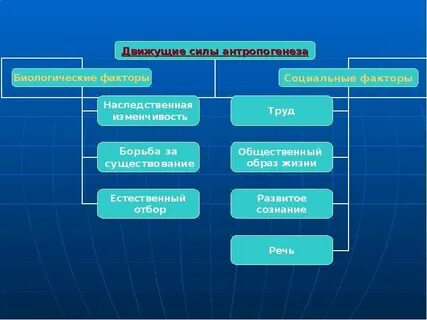 Биологические факторы антропогенеза наследственная изменчивость