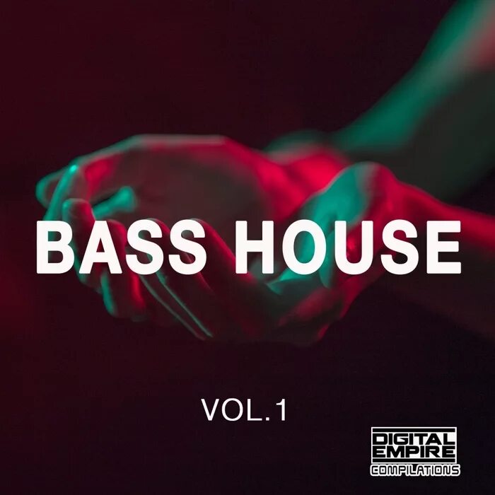 Bass house art. Record bass house. Bass картинки. Басс хаус хаус. Басс хаус.