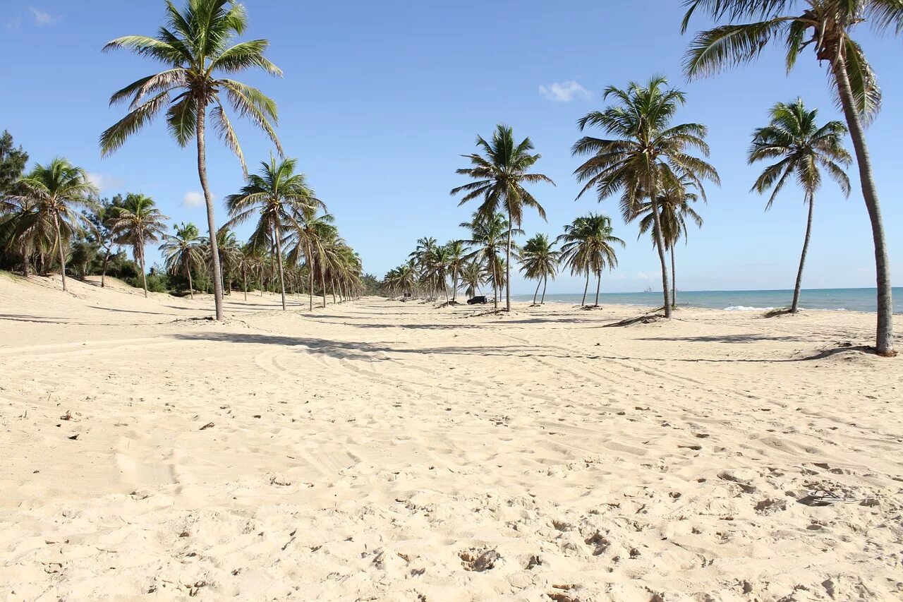 Кумбуко Бразилия. Пляж. Пляж с кокосовыми пальмами. Шри-Ланка пляжи с белым песком.