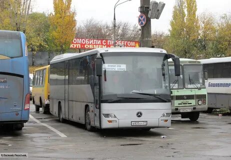 Самара чебоксары автобус