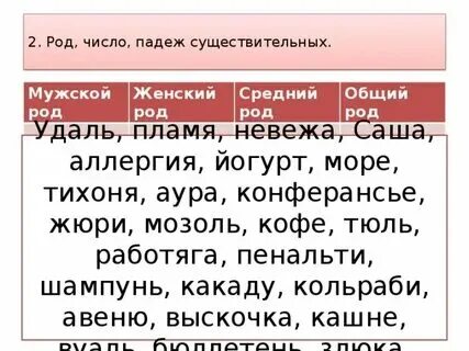 Тюль род число