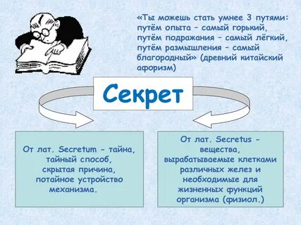 Путь опыта