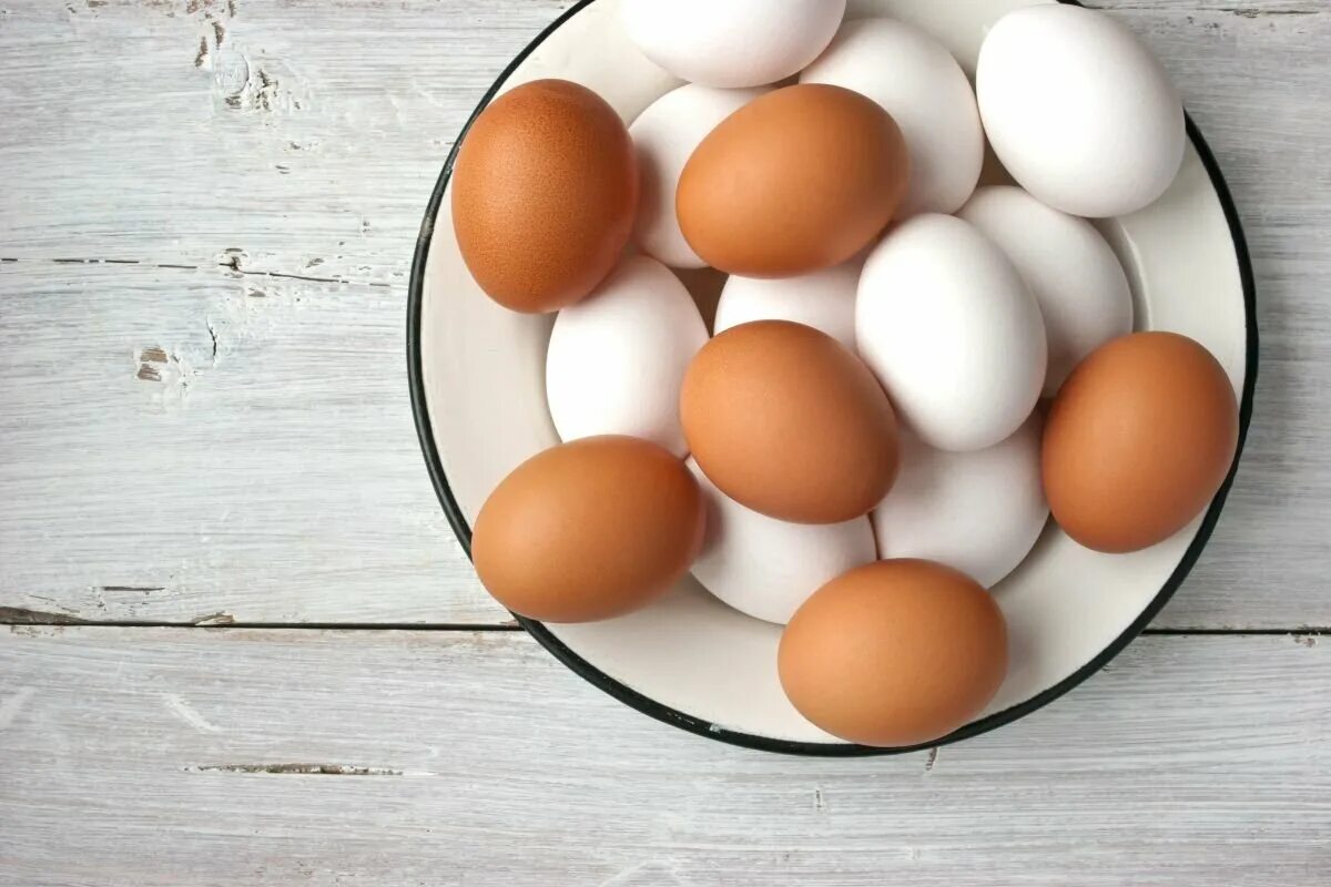 Egg net