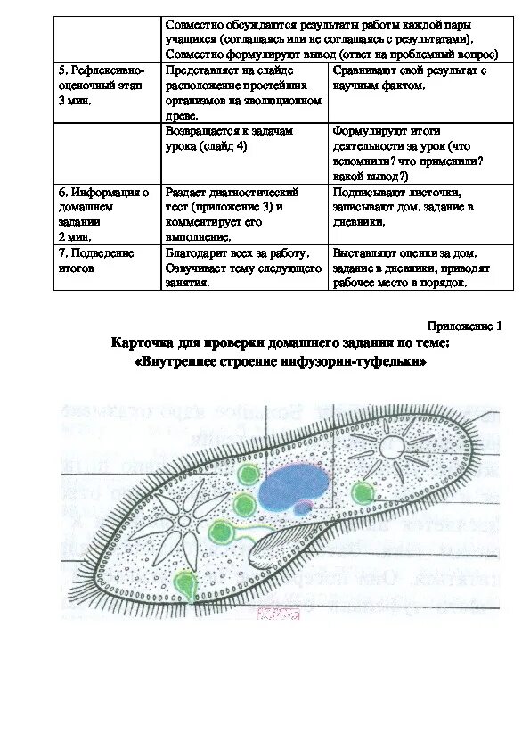 Охарактеризуйте среды обитания одноклеточных какое условие. Сравнительная характеристика одноклеточных. типы питания многоклеточных организмов. первичные одноклеточные. тест по биологии по теме одноклеточные.