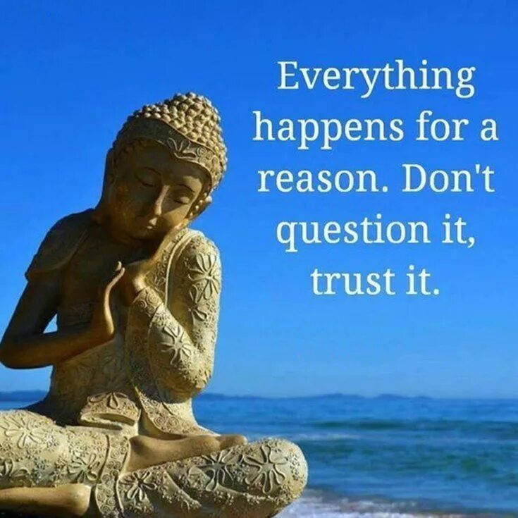 Buddha quotes. Будда. Будда сиддхартха. Храни тебя будда. Буддийские высказывания.