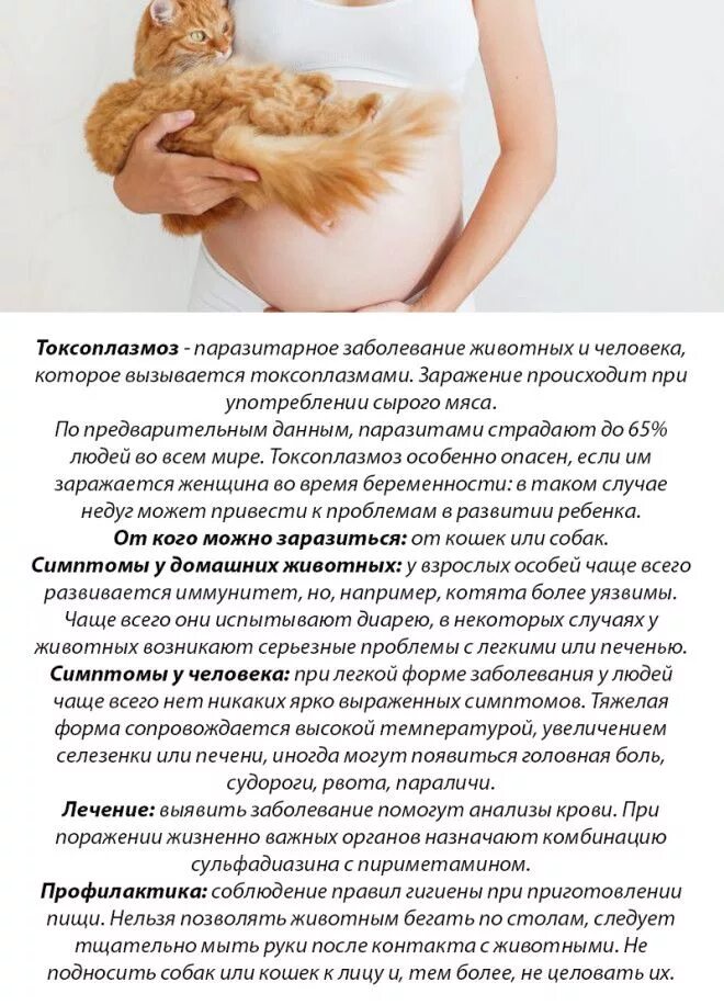После контакта с животными