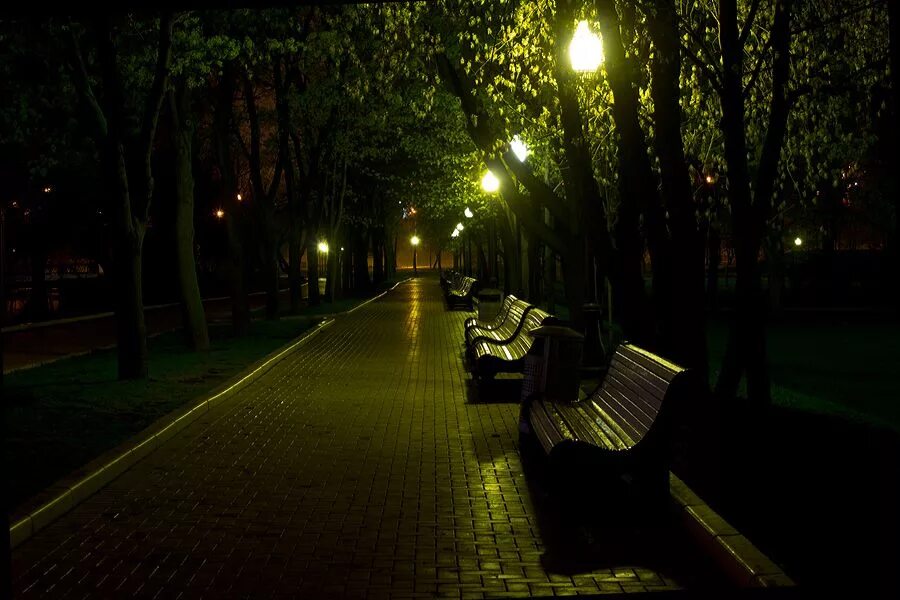 Засыпает в парке вечер. Ночной парк Санкт-Петербург. Парк ночью. Ночь улица парк. Сквер ночью.