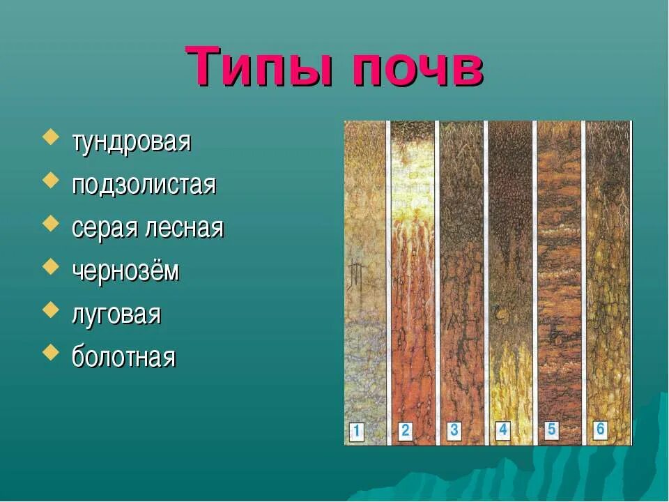 Почвы россии 4 класс 21 век презентация