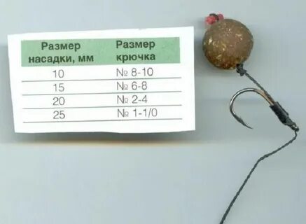 Леска на сазана