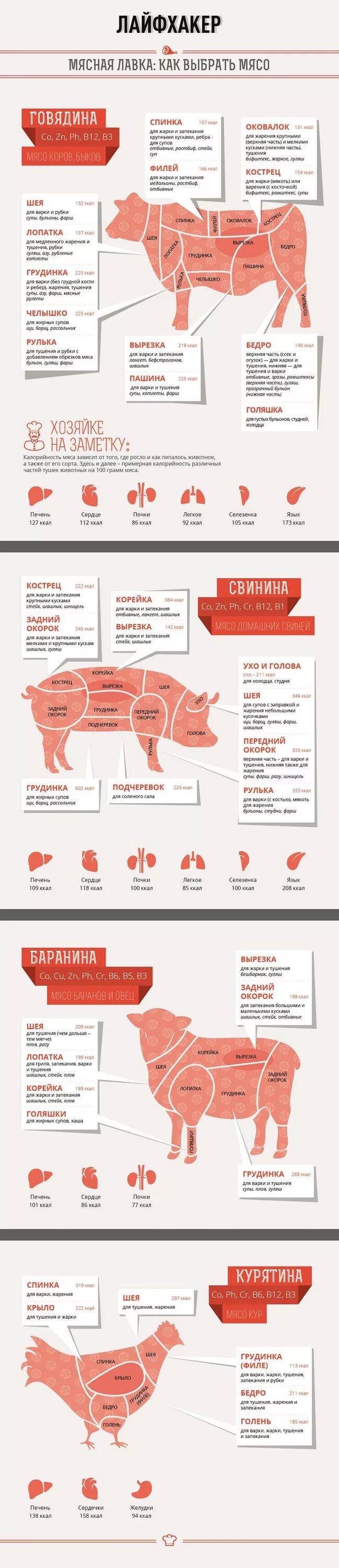 Сколько калорий в баранине. Как выбрать мясо. Как выбрать мясо говядины. Как правильно выбрать мясо. Мясо инфографика.