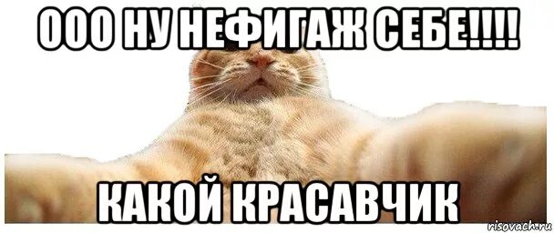 Ну красавец. Красавчик прикол. Не теряйте меня я на даче. Красавец красавец мем. Красавец! в шутках.