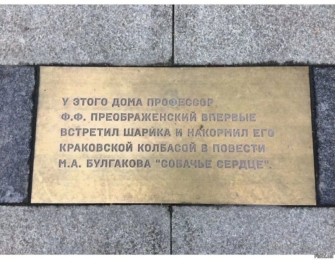 Собачье сердце полиграф полиграфович. На какой улице профессор нашел шарика. Собачье сердце краткое. Табличка на брусчатке. Профессор филип филипыч.