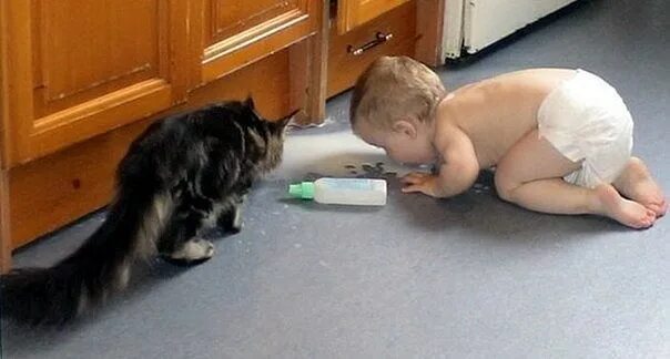 Прикольные надписи с котиками. Мама барсик. Смешные дети. Мама барсик. Кот для детей.