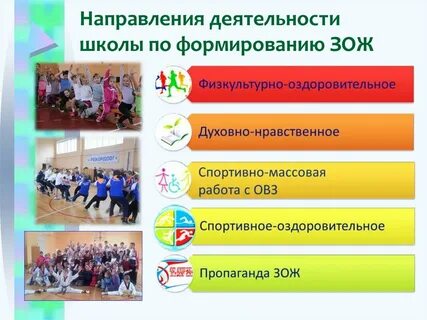 Организация здорового образа жизни школьников