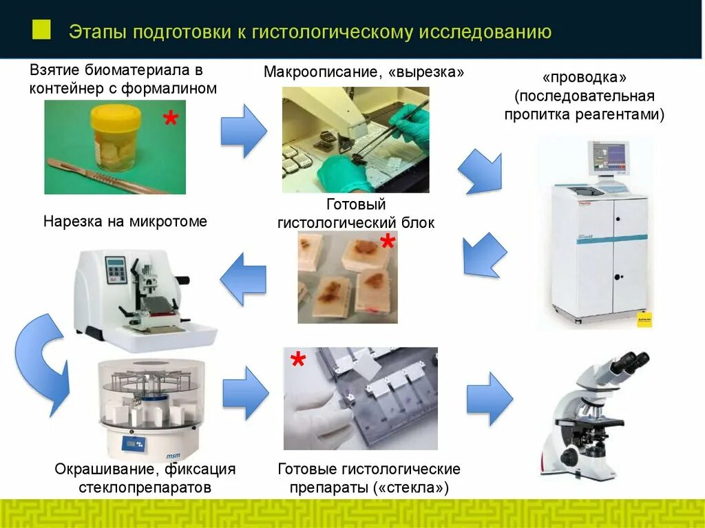 Процедура фиксации гистологических образцов необходима для. Гистологическая лаборатория оснащение. этапы гистологического исследования. этапы приготовления гистологических препаратов. микротомы для гистологии.