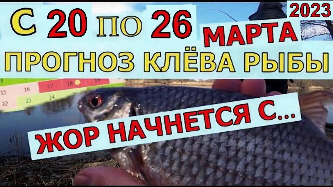 Календарь. Рыболова. На. Март. Календарь рыбака 2023. Рыболовный календарь на март. Календарь клёва рыбы на 2023.