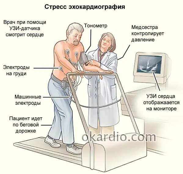 Подготовка пациента к ультразвуковому исследованию сердца. Узи сердца подготовка к исследованию. Узи сердца что нельзя делать. Трансторакальная эхокардиография. Узи сердца норма снимок.