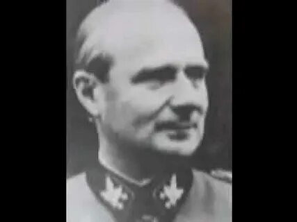 Вольф видео