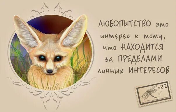 Выражение любопытство. Про любопытных людей высказывания. любопытство цитаты. цитаты про любопытных. афоризмы про любопытных людей.