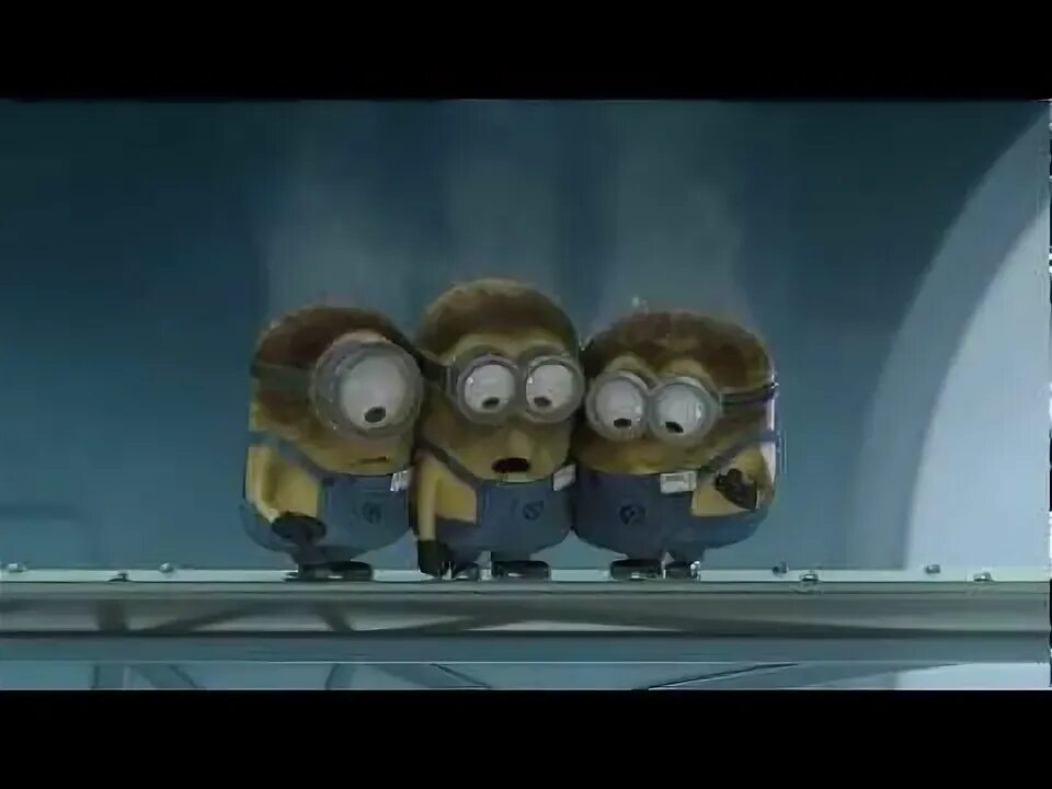 Миньоны 1. Ознакомительный день. Миньоны ознакомительный день. Пьер коффин миньоны. Ознакомительный день 2010.