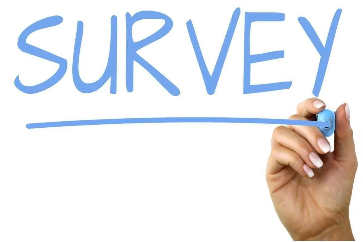 Survey data. Survey office. Result. The editor mar. Survey picture.